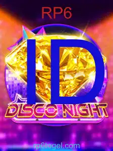 DiscoNight